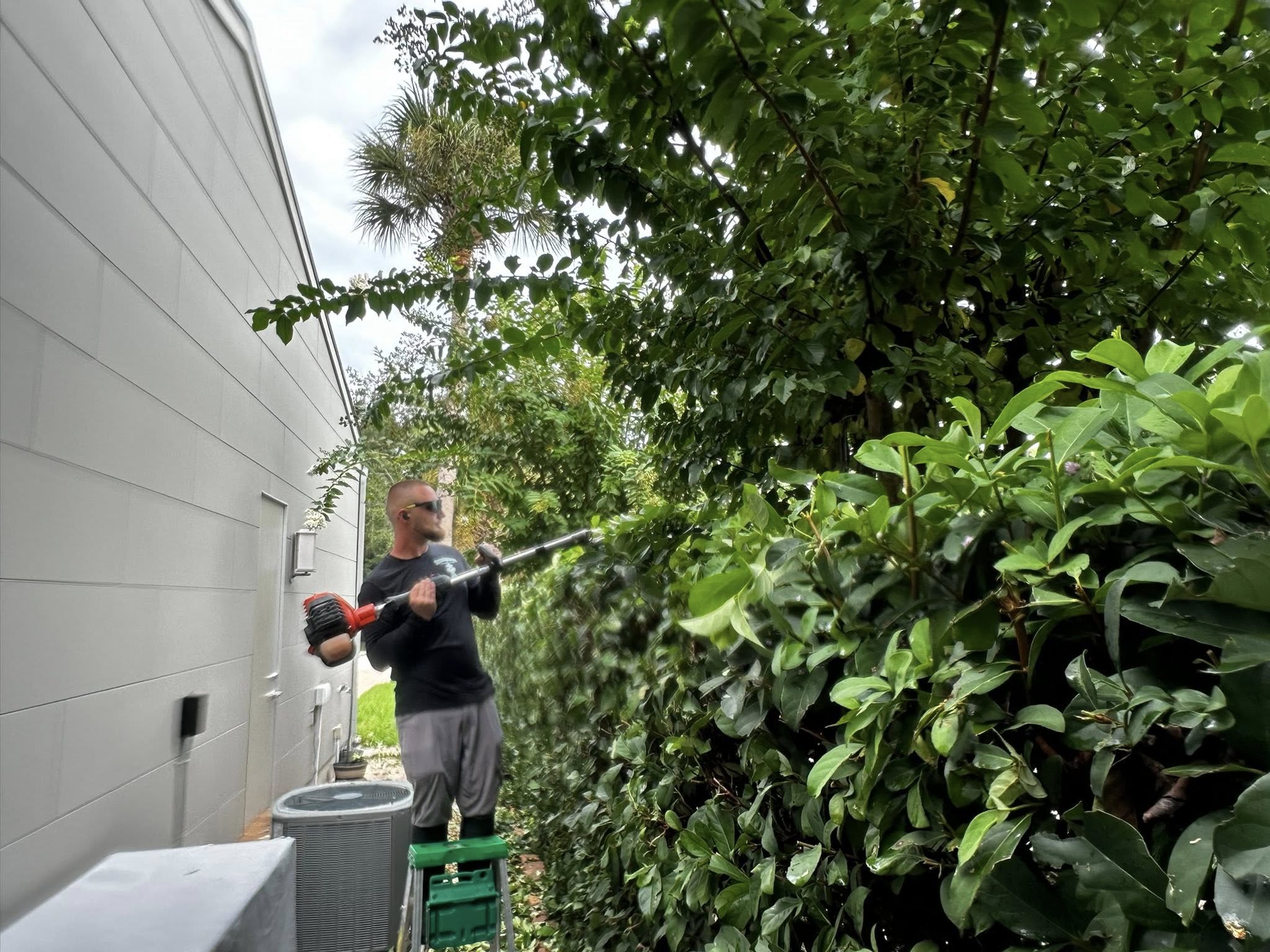 Hedging & Trimming
